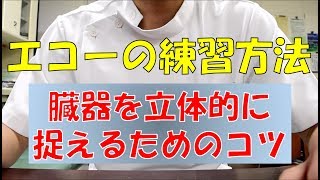 【エコー検査】超音波検査士が教える！エコーを立体的に見るコツ！ [upl. by Odelinda]