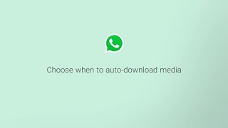 How to Configure Auto Download for Media  Data Usage Tips  WhatsApp [upl. by Gupta]