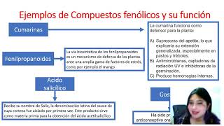 Clase de Metabolitos Secundarios [upl. by Hagile]