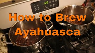 How to make Ayahuasca brew [upl. by Smart951]