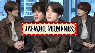 Newest Jaewoo Moments [upl. by Castle377]