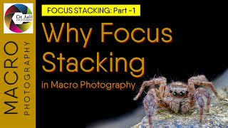 Why Focus Stacking in Macro Photography [upl. by Moberg]