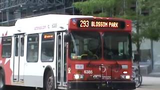 OC Transpo Buses  Downtown Ottawa [upl. by Champ298]