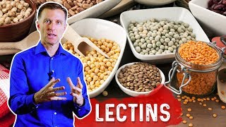 Lectins and Autoimmune Conditions [upl. by Kandace]