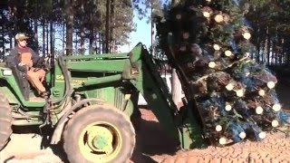 Christmas Tree Harvest at Dutchman Tree Farms [upl. by Nwhas]