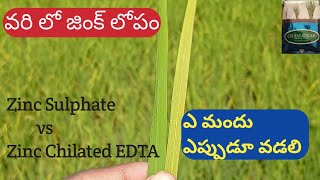 వరి లో జింక్ లోపం  Zinc sulphate vs Zinc chilated EDTA ఎప్పుడు వడలి  zinc fertilizer [upl. by Deryl]