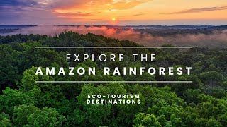 Exploring the Amazon Rainforest A Treasure Trove of Biodiversity and Natural Wonders [upl. by Esinej844]