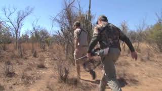 Mabula Pro Safaris Trophy Tsessebe hunt [upl. by Analihp147]