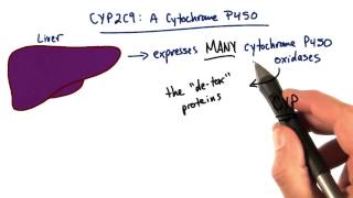 Cytochrome P450  Tales from the Genome [upl. by Humble]