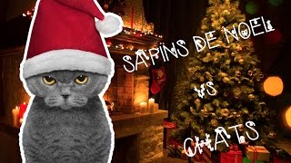 Sapins de Noël vs Chats [upl. by Stevie]