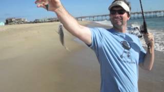 How to catch fish in Nags Head surf [upl. by Nirra]