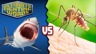 SHARK vs MOSQUITO Whose Bite is Worse  ULTIMATE FIGHTING WORDS [upl. by Ymas]