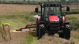 Mowing for Silage with Massey [upl. by Endys]