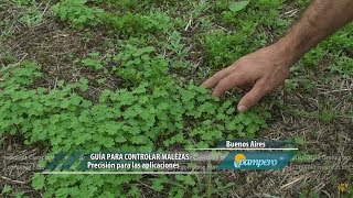 Guía para controlar malezas [upl. by Solitta]