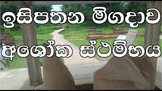 ඉසිපතන මිගදාව  අශෝක ස්ථම්භය  Isipathana migadava india dambadiwa [upl. by Celeste]