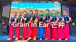 Grain In Ear Mang Zhong  Line Dance Performance [upl. by Hsreh]