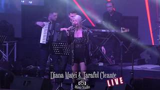 Diana Matei si Taraful Cleante  CONCERT LIVE  Beraria H [upl. by Stein]