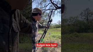 Hunting with a 30lb longbow bowsandarrows archery deerhunting hunting bowhunting survival [upl. by Alyahs]