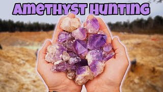 Finding INSANE Amethyst Quartz Crystals at the Jacksons Crossroads JXR Mine in Georgia [upl. by Vere]