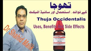 ThujaThuja Occidentalisتھوجا Uses Side Effect And Dosage In Homoeopathy [upl. by Dyke]