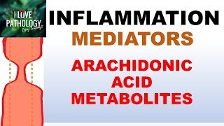 INFLAMMATION Part 5 Chemical Mediators ARACHIDONIC ACID METABOLITES [upl. by Hyozo]