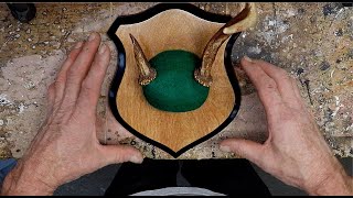 DIY How To Make an Antler Plaque [upl. by Adnawak696]