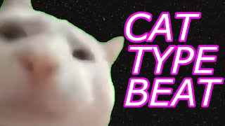 I made a beat with cat noises cat meow rap meme original song [upl. by Garneau961]