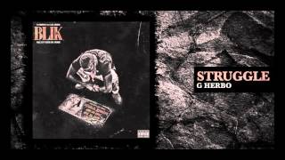 G Herbo  Struggle Official Audio [upl. by Nomael]