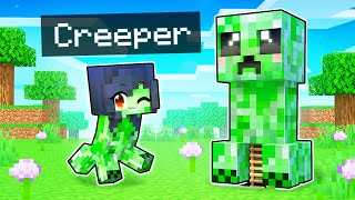 Creeper Aw Man Steve and alex life Minecraft Animation [upl. by Kathe4]