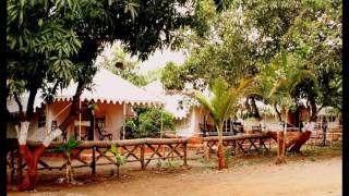 Best Hotels in Sasan Gir Gir Pride Resort [upl. by Raamal]