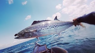 Noosa Offshore Kayak Fishing Tournament 2018 [upl. by Rao]