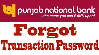 Reset Transaction Password Of PNB Internet Banking [upl. by Alhan]