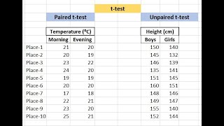 How to perform ttest in Excel [upl. by Kariotta]