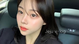 제주도 브이로그 겨울제주여행 jeju vlog [upl. by Byrann95]