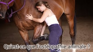 Questce que lostéopathie animale [upl. by Yrac424]