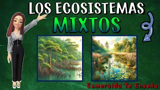 🌍🐊LOS ECOSISTEMAS MIXTOS Sus Tipos Características Flora y Fauna🍃🐠 [upl. by Geirk]