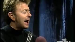 Brian Setzer Nightingale [upl. by Lodovico]