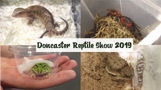 Doncaster Reptile Show 2019  VLOG [upl. by Adianes938]