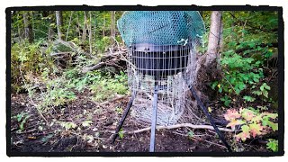 Moultrie Deer Feeder Cage  Protection From Squirrels and Raccoons [upl. by Lowney]