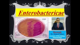 Enterobacteriaceae quotMedical Microbiologyquot [upl. by Ynnoj560]