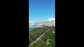 Waikiki Beach from Kapiolani Park waikiki oahuhawaii honoluluhawaii [upl. by Aitak]