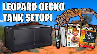 Leopard Gecko Setup for beginners [upl. by Nywnorb]