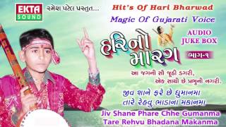 Hits Of Hari Bharwad  Tare Revu Bhadana Makanma  Popular Gujarati Bhajan  Hari No Marag Part 1 [upl. by Politi]