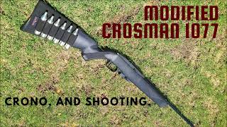 Modified Crosman 1077  Crono and Shooting [upl. by Lienahs896]