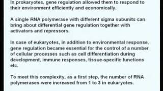 Mod01 Lec01 Eukaryotic RNA polymerases and basal transcription factors [upl. by Aehcim]