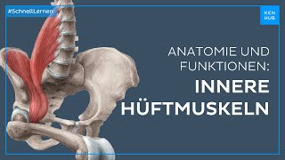 Innere Hüftmuskulatur  Anatomie und Funktion schnell lernen  Kenhub [upl. by Navek]