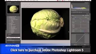 Fine Art Still Life Ep 138 Exploring Photography with Mark Wallace [upl. by Vyner]