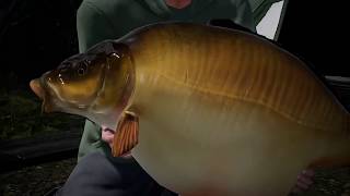 Fishing Sim World Boss Fish Fudgies 86lb 5oz [upl. by Kosse]