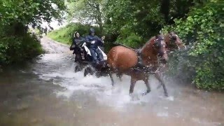 XVI Romaria a Cavalo MoitaViana do Alentejo 2016 [upl. by Shere837]