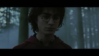 Harry Finds Barty Crouch Snr Dead in Forrest  Harry Potter and the Goblet of Fire 2005  4K Scene [upl. by Yalonda]